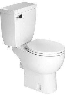 Toilet Slave Là Gì?