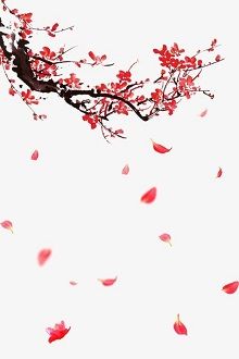 Trọn Kiếp Một Người