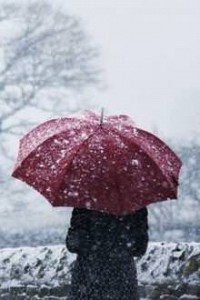 Giấc Mơ Tuyết Trắng