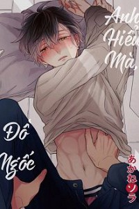 Anh Hiểu Mà, Đồ Ngốc