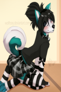 Chuyện Con Chó Tên Mích