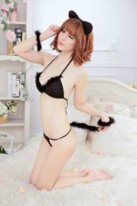 Mèo Hoang – Lạc Lõng