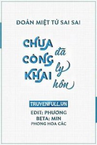 Chưa Công Khai Đã Ly Hôn