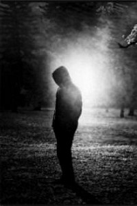 Đã Nhớ… Một Cuộc Đời