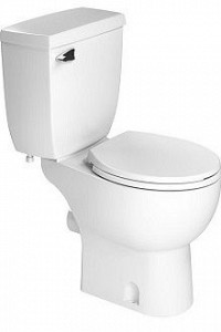 Toilet Slave Là Gì?