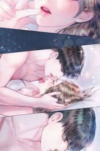 Tổng Tài Ngược Đãi Phu Nhân