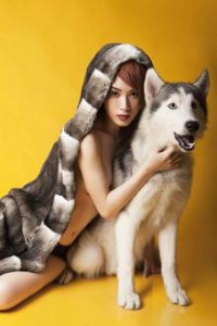 Cô Nữ Sinh Du Học Và Chú Chó Husky