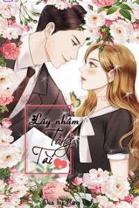 Lấy Nhầm Tổng Tài (Hạ Nhật Ninh)